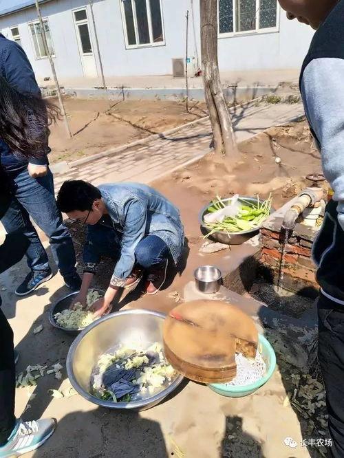 安徽长丰县吃瓜事件视频,一场引发热议的网络视频风波