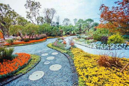 蓉城悦容公园吃瓜视频,揭秘公园里的欢乐时光