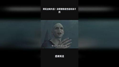 阿瓦达吃瓜视频,揭秘娱乐圈幕后风云