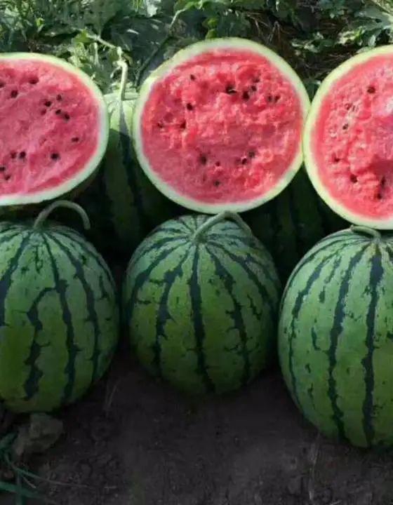 新乐最新吃瓜事件新闻视频,揭秘背后惊人真相