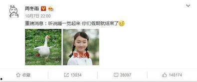 社会重磅吃瓜最新消息视频,重磅吃瓜视频揭秘，最新热点事件深度解析