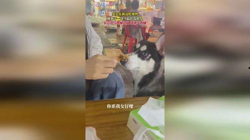 吃瓜群众吃鸡腿视频在线观看,吃瓜群众直播吃鸡腿，视频观看热潮席卷全网