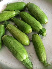 小角瓜能腌着吃吗视频