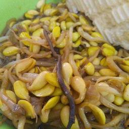 蚯蚓喜欢吃哈密瓜吗视频,哈密瓜的诱惑