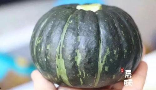 萌娃吃板栗瓜视频大全,板栗瓜视频大全集锦