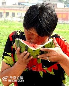 骗老太太西瓜吃瓜视频,揭秘骗老太太吃瓜视频背后的真相