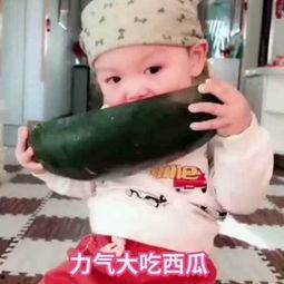 新密吃瓜吵架视频