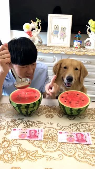 搞笑吃瓜套路视频大全集