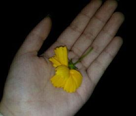 吃瓜相关视频素材大全,揭秘吃瓜视频素材大全