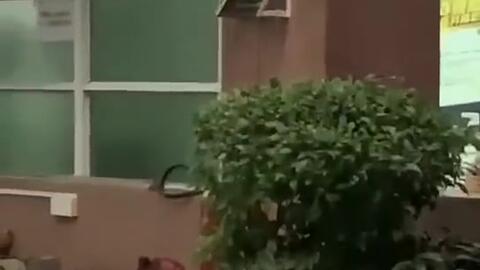 来宾最近吃瓜新闻视频,最新吃瓜新闻视频揭秘幕后真相