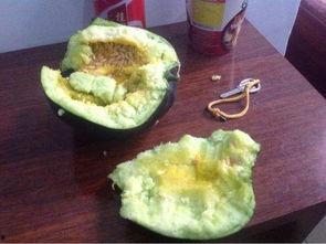 吃瓜要去瓤吗视频,视频教你轻松挑选完美瓜果