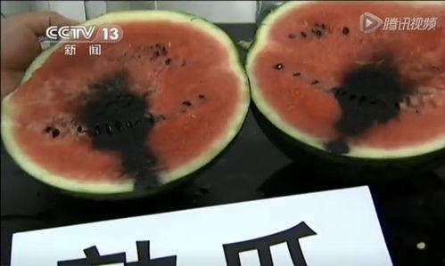 焦作武陟最新吃瓜视频,揭秘当地热门事件幕后真相