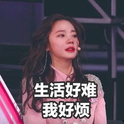 深夜吃瓜视频大全集在线观看,视频大全集在线观看攻略