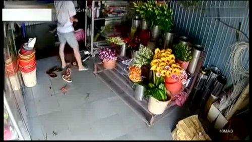 鲜花店老板吃瓜视频下载,鲜花店老板的吃瓜视频下载之旅